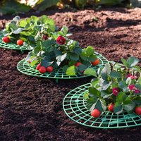 Garden Gear - Strawberry Support Frame