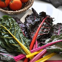 Chard 'Rainbow' - Organic Seeds