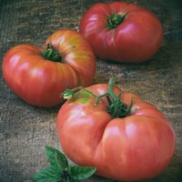 Tomato 'Pink Brandywine' - Heirloom Tomato Seeds