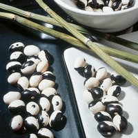 Dwarf French Bean 'Yin Yang' - Seeds
