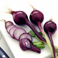 Spring Onion 'Purplette' - Seeds