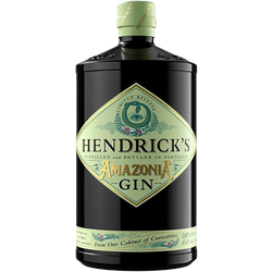 Gin Hendrick's "Amazonia"