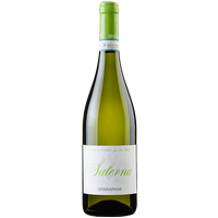 Svinando Profitieren Sie von 14% Rabatt auf Salerna Verdicchio 2023 DOC