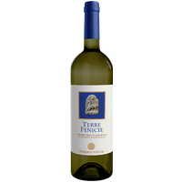 Svinando Terre Fenicie Vermentino di Sardegna DOC 2024