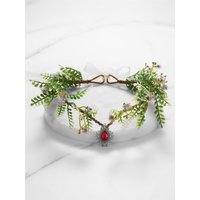 SV Mwami Fairy Crown