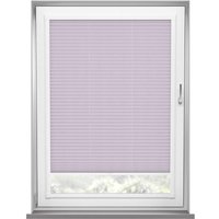 Evissa Lilac