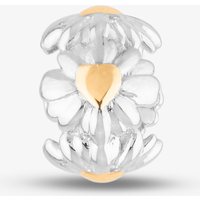 Rosa Lea Women's Daisy Spacer AM-2THB030006 in Silver