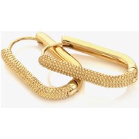 Ava & Sky 14ct Yellow Gold Plated Icon Carabiner Hoop Earrings ASE0011
