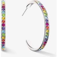 Coeur De Lion Stainless Steel Multi Coloured Crystal Hoop Earrings 0128/21-1517