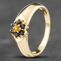 Pre-Owned 9ct Yellow Gold Blue and Yellow Sapphire Cluster Ring 41101668