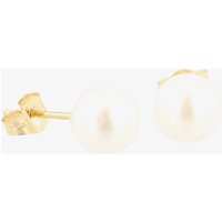 9ct 6 x 6.5mm Akoya Pearl Stud Earrings EOZ103PL