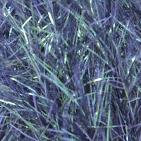 King Cole Tinsel Chunky - Navy (3901)