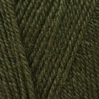 Save 14% on Stylecraft Life DK in Olive 2302 at The Knitting Network