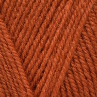 Save 14% on Stylecraft Life DK in Copper 2312 at The Knitting Network