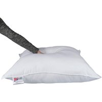 Homescapes Goose Feather Down 65 x 65 cm Square Pillow - White