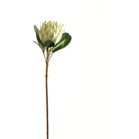 Large Protea Sophisticated Floral - White