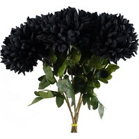Pack of 6 x Extra Large Reflex Chrysanthemum - Black Chrysanthemum