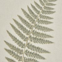 Timeless Fern Art With Beaded Frame - White