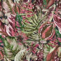 Jungle Fever Wallpaper in Pink and Green - Green