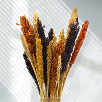 Vibrant Cantal Grass Bunch Dried Floral Decor Craft Material - Orange