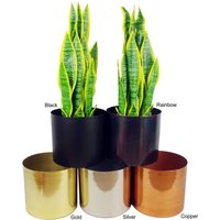 Twisted Trunk Artificial Japanese Fruticosa Style Ficus Tree Silver Planter - Twisted Silver