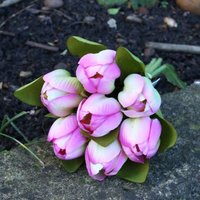 Artificial Silk Tulip Bunch. H29 cm - Fuschia