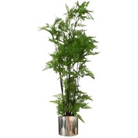 Artificial Natural Extra Large Fern Foliage Plant Silver Metal Plater - Green