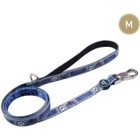 Stitch Dog Lead - Multicoloured