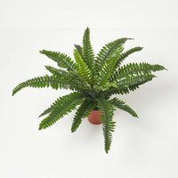 Homescapes Boston Fern in Pot, 45 cm Tall - Green