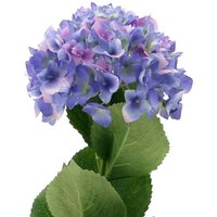 Artificial Silk Hydrangea Single Stem - Blue
