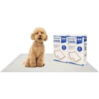 Disposable Puppy Training Pads - 60cm x 89cm - White / 20