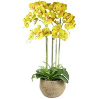 Large Orchid Lime Yellow Artificial 41 REAL TOUCH flowers - 80cm Real Touch Lime Yellow