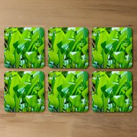 Green leaf background abstract of nature Designer Coaster Set - Green