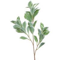 Artificial Euphorbia Marginata Spray 68cm - Green