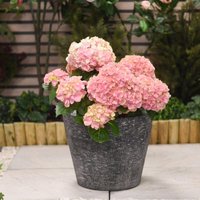 Stone-Effect Planter Flower Pot - Grey / 1
