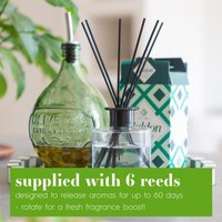 200ml Glass Reed Diffuser - Summer Berries / 1