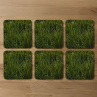 Fresh green grass background, natural grass Designer Coaster Set - Green