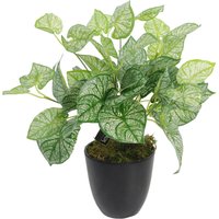 Artificial Caladium Plant pot - Green