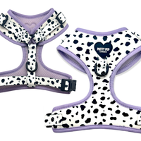 Pretty Pup London, Pretty Pup London Dalmatian Print Dog Collar - Purple - Lavender Lilac Purple Pretty Pup London, Pretty Pup London Dalmatian Print Dog Collar - Purple - Lavender Lilac Purple