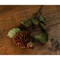 Deep Mustard Dahlia Stem Vibrant Floral - Dark Sand