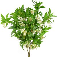 Pack of 6 x Artificial Hainan Elaeocarpus Stem - Elaeocarpus