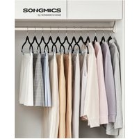 Velvet Trouser Hangers with Clips - Black / 0.6cm / ABS(ABS) / 1.8kg