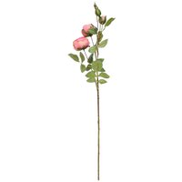 Garden Peony Rose - 75cm - Deep Pink
