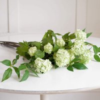 Artificial Single Cream Guelder Rose Branch Flower Stem L60cm - White