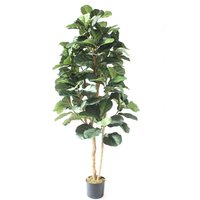 Leaf Design UK Artificial Plant Fiddle Fig Tree Plant Black Plastic Pot - 180cm Fiddle Fig Deluxe / 60cm / 180cm