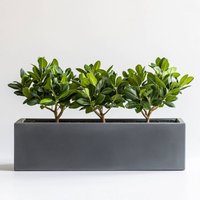 Zinc Galvanised Matte Grey Trough Planter - Grey / 120cm