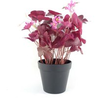 Artificial Office Plants - Purple Shamrock Potted - Purple Shamrock