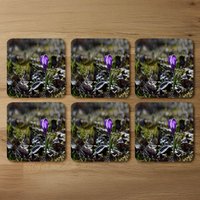 autumn flower bloom in nature Designer Coaster Set - Purple