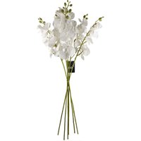 Artificial Pack of 6 x 100cm Phalaenopsis Orchid Purple Stem Flowers - White Flower Stems