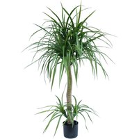 Leaf Design UK Artificial Yukka Tropical House Plant - 120cm Dracaena Tree / 120cm / 60cm